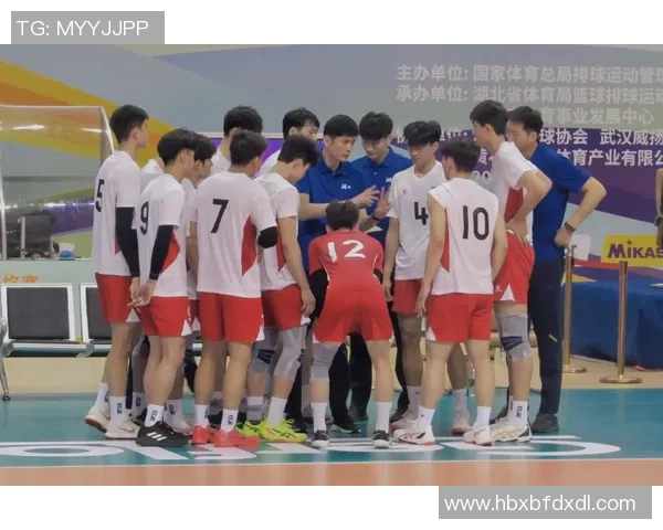 武汉排球队创新高排球配合排名再攀新高峰展现团队实力与默契
