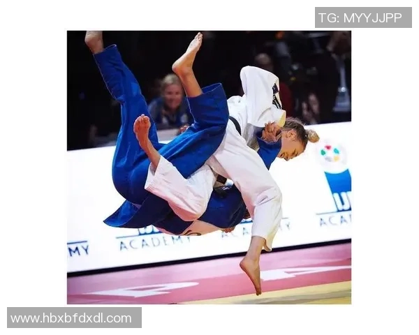 柔道技艺的传承与发展探索：从传统到现代的演变与创新